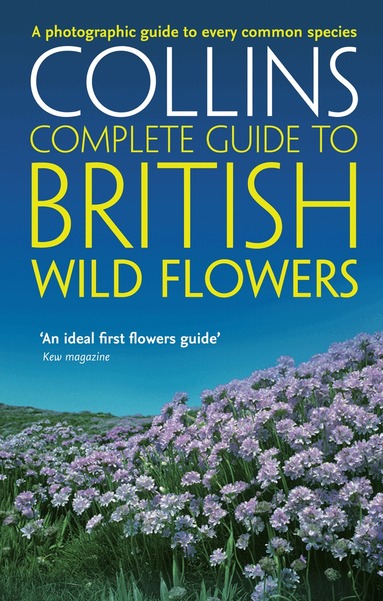 Paul Sterry - British Wild Flowers, Häftad
