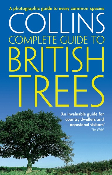 Paul Sterry - British Trees, Häftad
