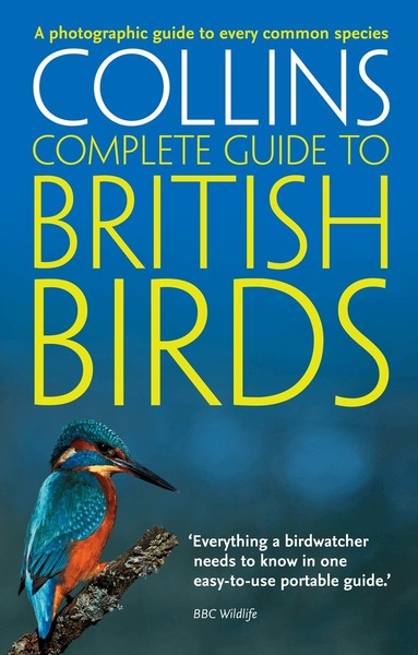 Paul Sterry - British Birds, Häftad
