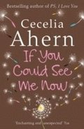 If You Could See Me Now