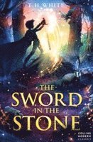 Sword in the Stone