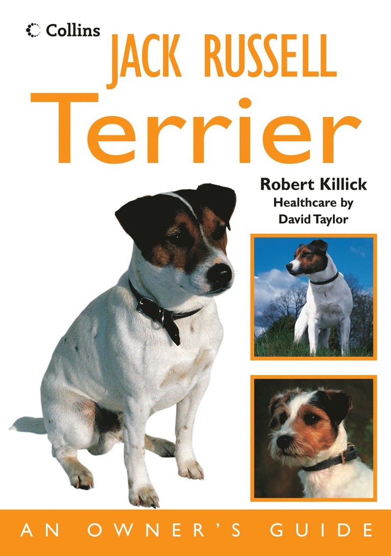 Robert Killick - Jack Russell Terrier, Häftad