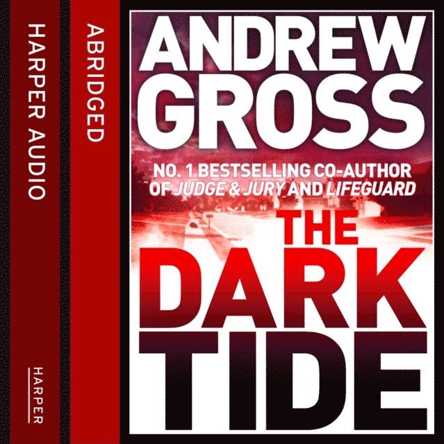 Andrew Gross - Dark Tide, Ljudbok