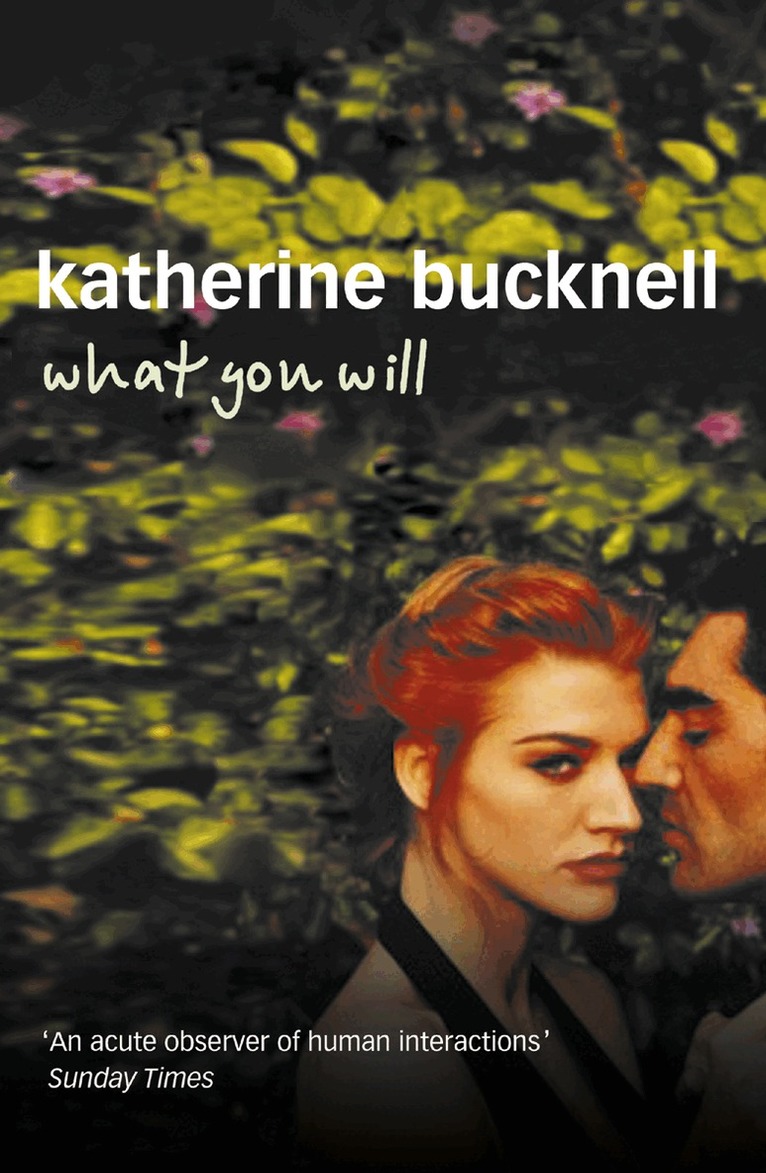 Katherine Bucknell - What You Will, E-bok