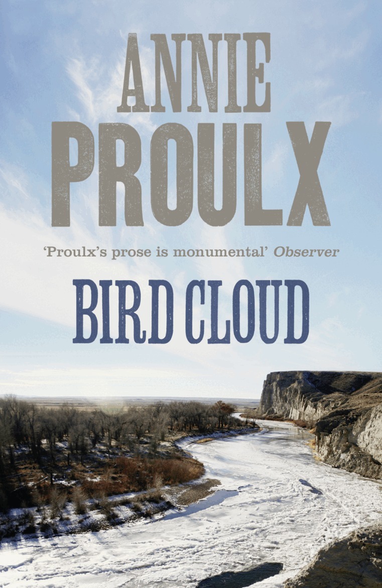 Annie Proulx - Bird Cloud, E-bok
