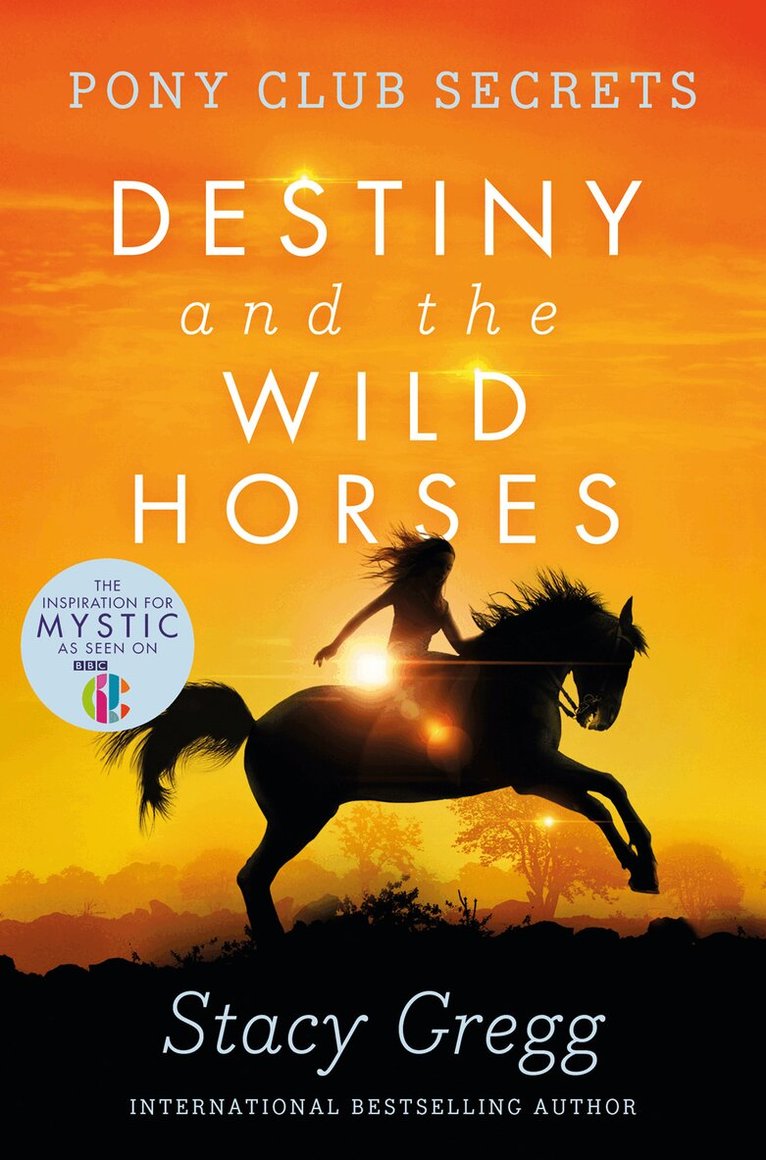 Stacy Gregg - Destiny and the Wild Horses, E-bok