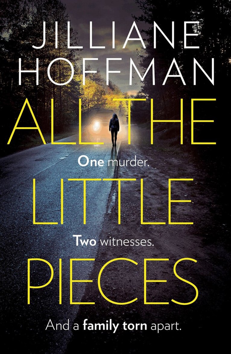 Jilliane Hoffman - All the Little Pieces, E-bok