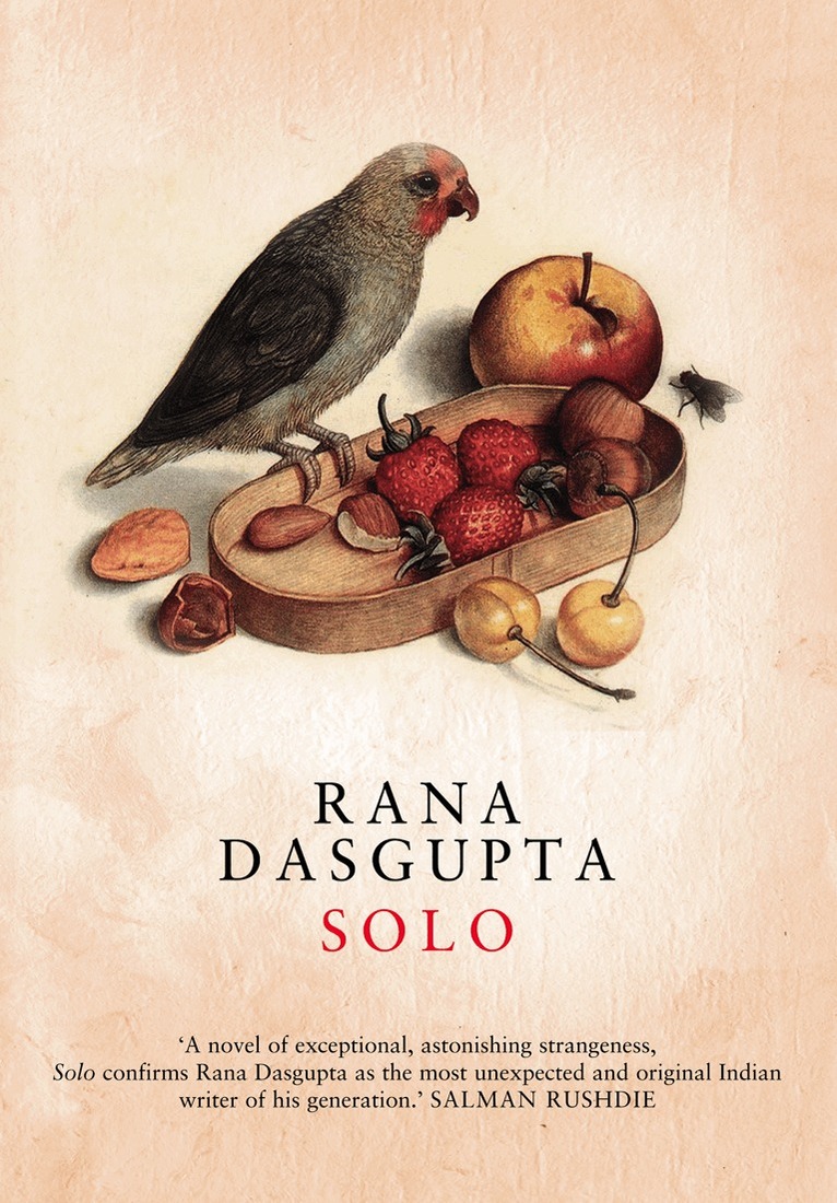Rana Dasgupta - Solo, E-bok