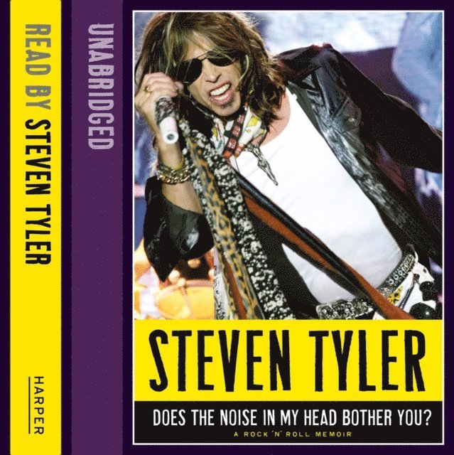 Jeremy Davidson, Steven Tyler - Does the Noise in my Head Bother You?, Ljudbok