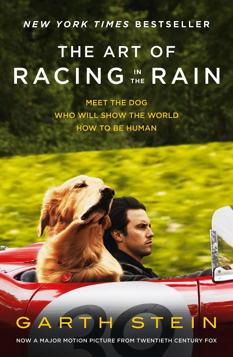 Garth Stein - Art of Racing in the Rain, E-bok