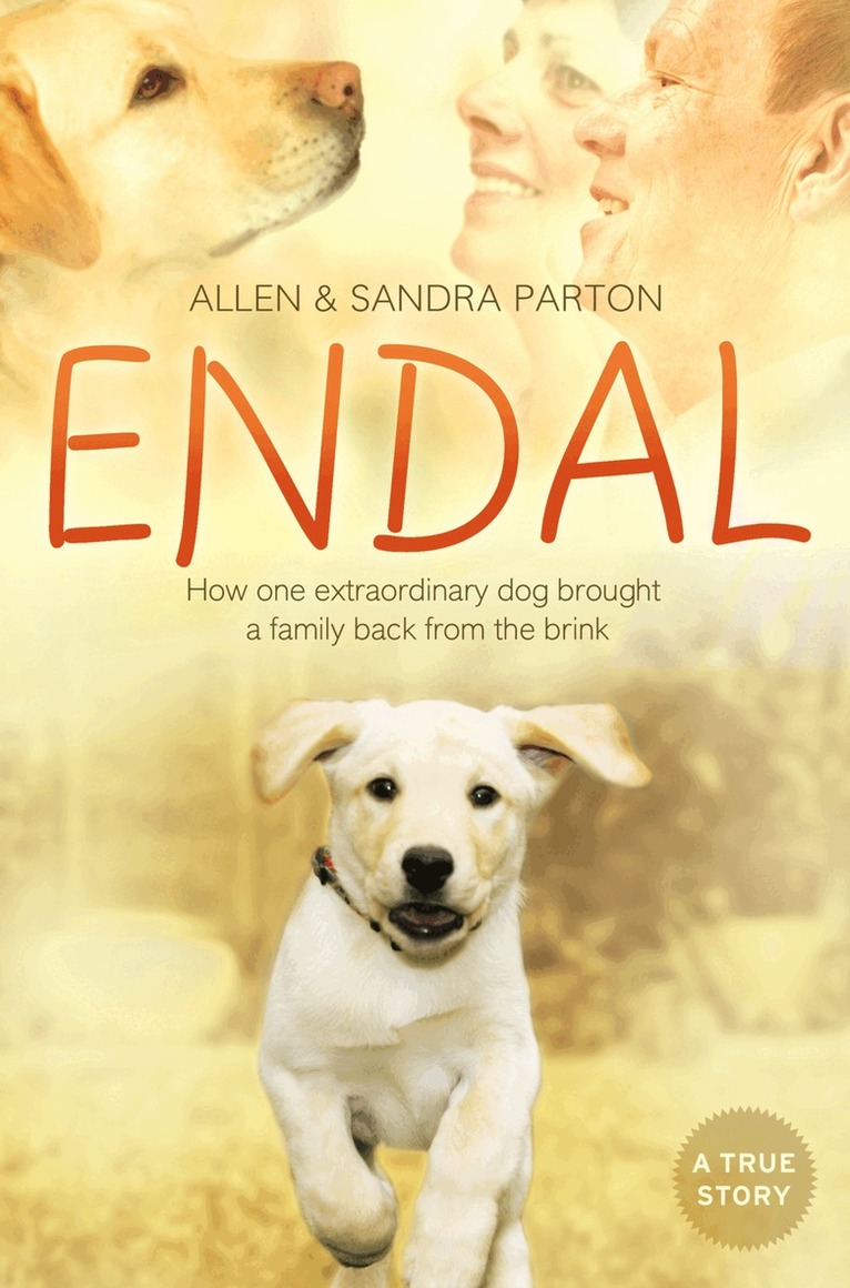 Allen Parton, Sandra Parton - Endal, E-bok