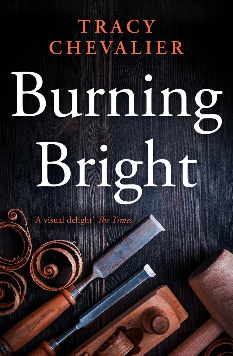 Tracy Chevalier - Burning Bright, E-bok