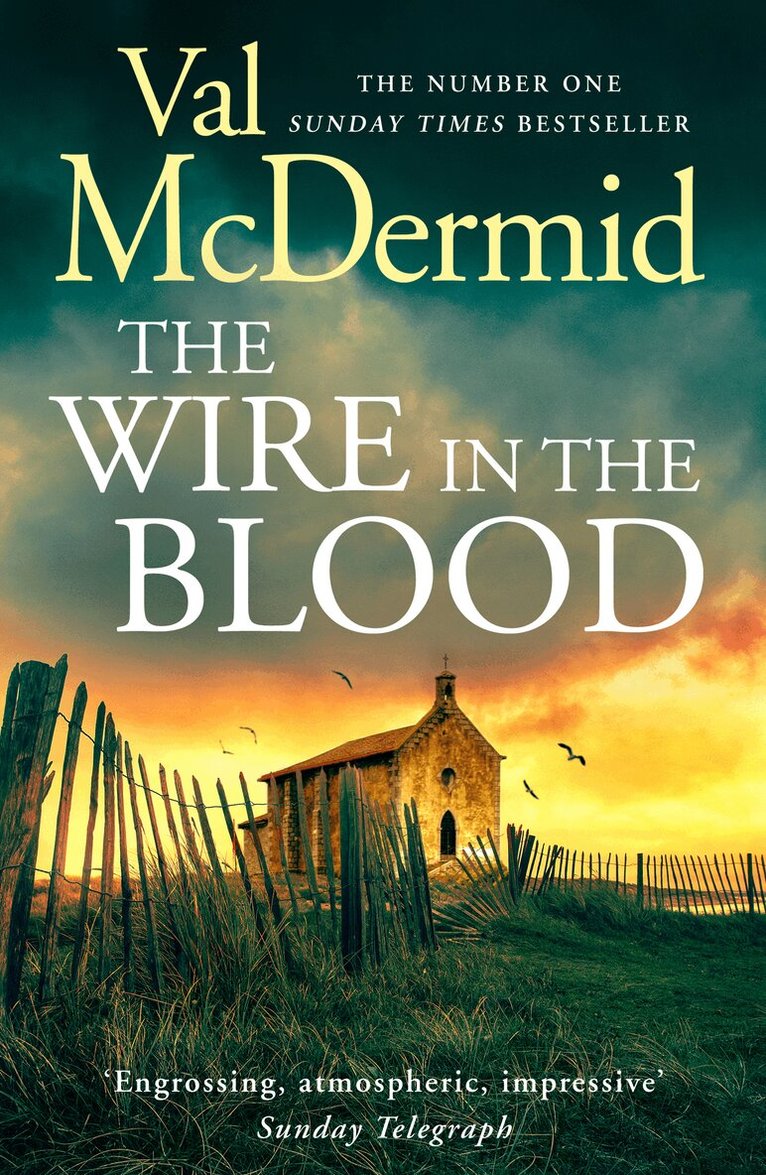 Val McDermid - Wire in the Blood, E-bok