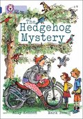 The Hedgehog Mystery