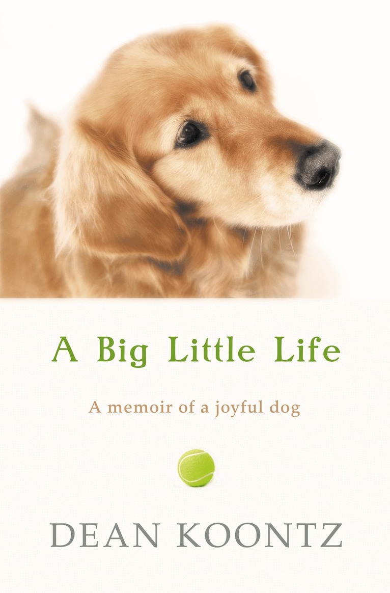 Dean Koontz - Big Little Life, E-bok