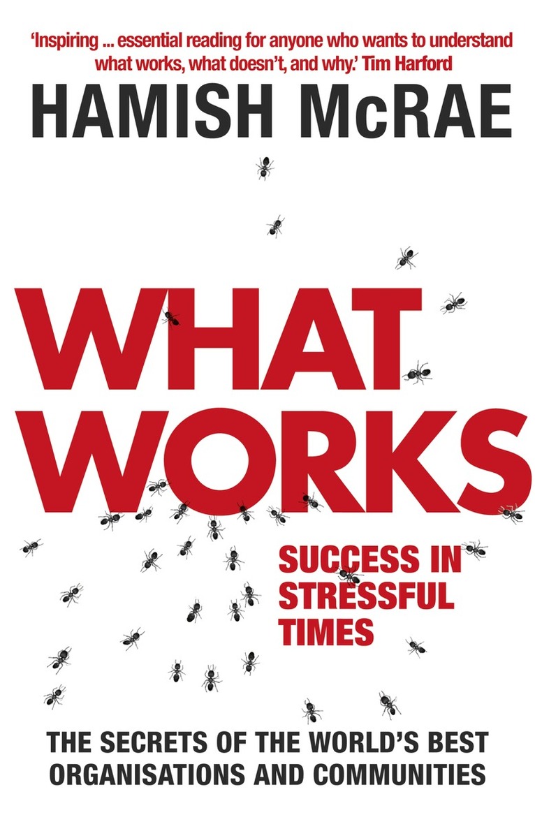 Hamish McRae - What Works, E-bok