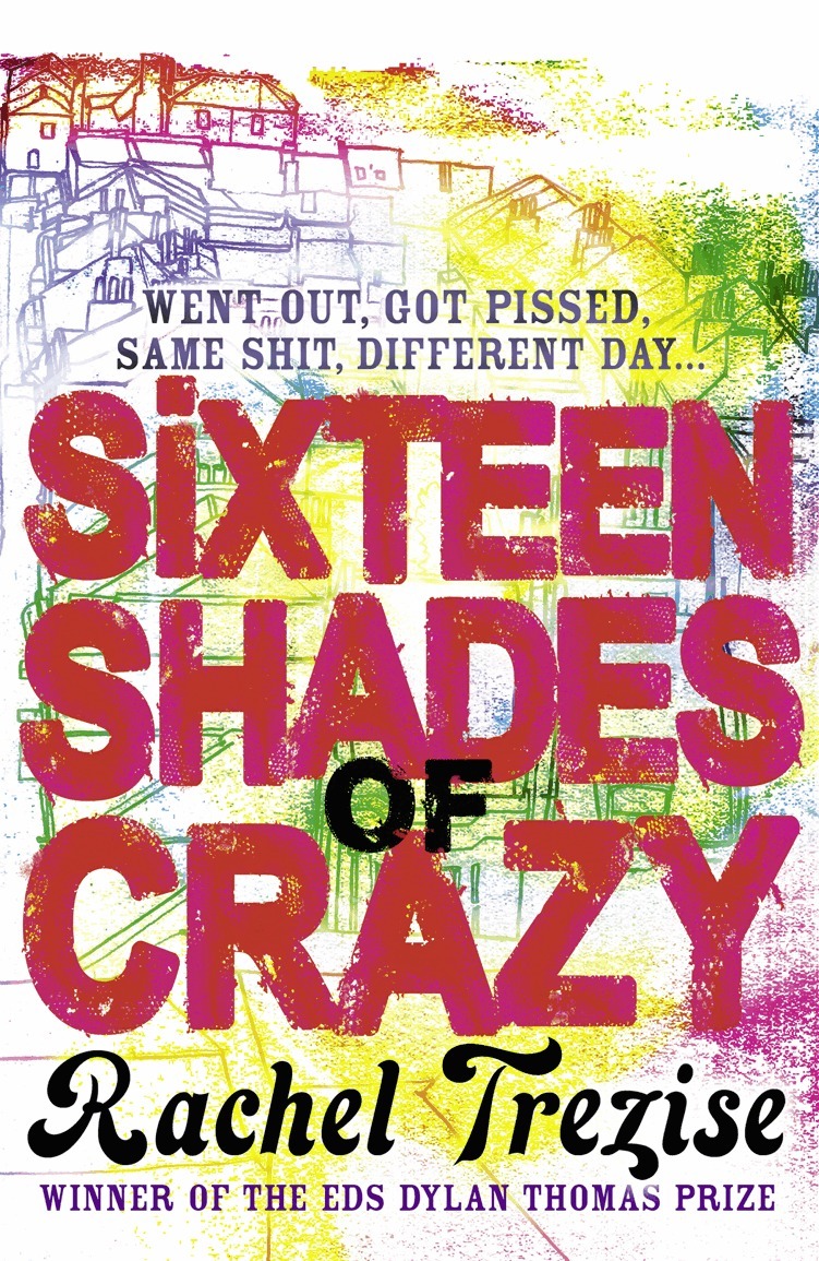 Rachel Trezise - Sixteen Shades of Crazy, E-bok