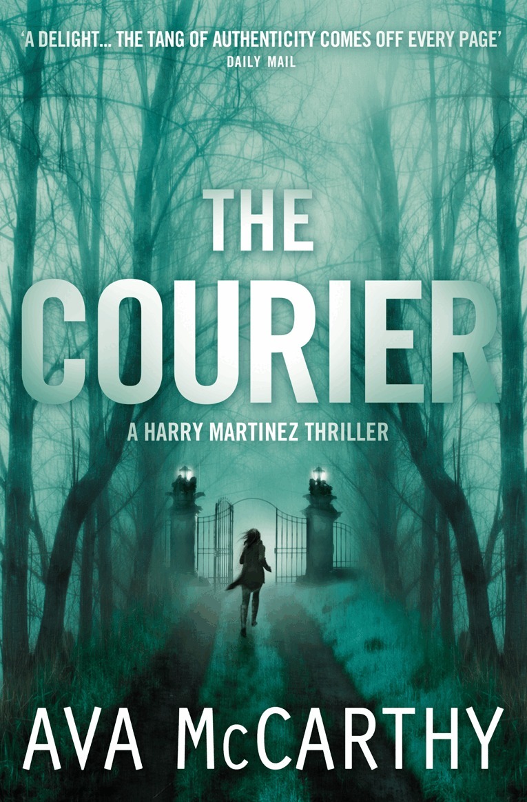 Ava McCarthy - Courier, E-bok