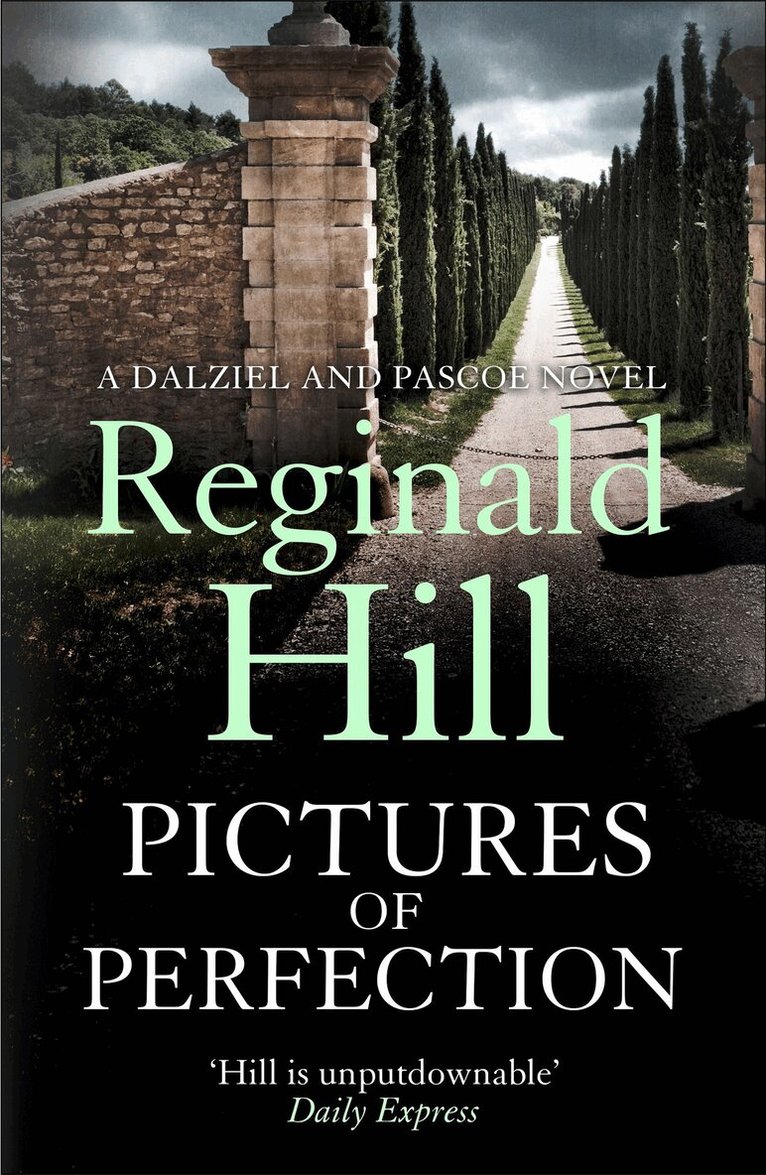 Reginald Hill - Pictures of Perfection, E-bok