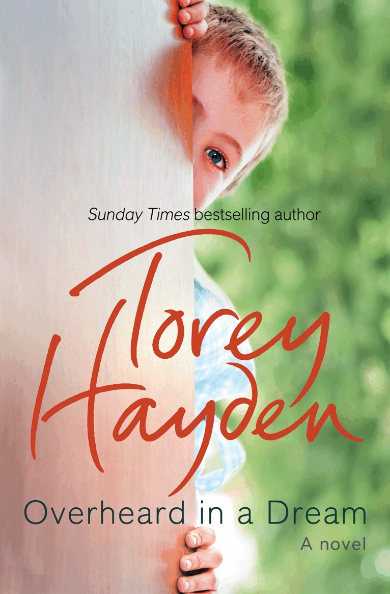 Torey Hayden - Overheard in a Dream, E-bok