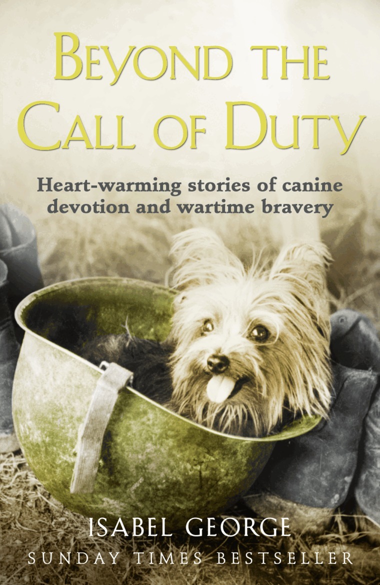 Isabel George - Beyond the Call of Duty, E-bok
