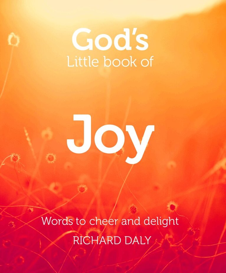 Richard Daly - God’s Little Book of Joy, E-bok