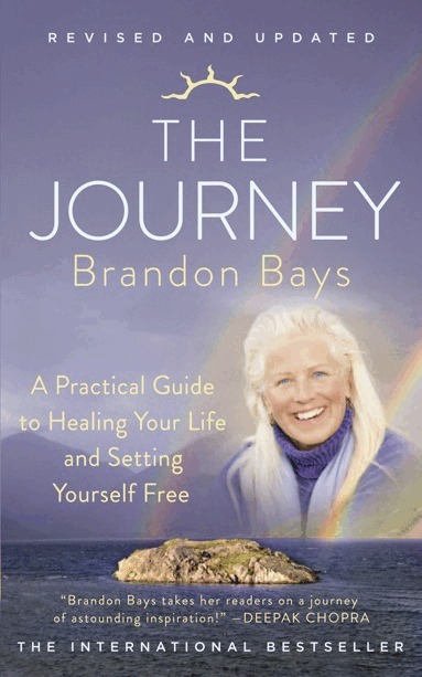 Brandon Bays - Journey, E-bok