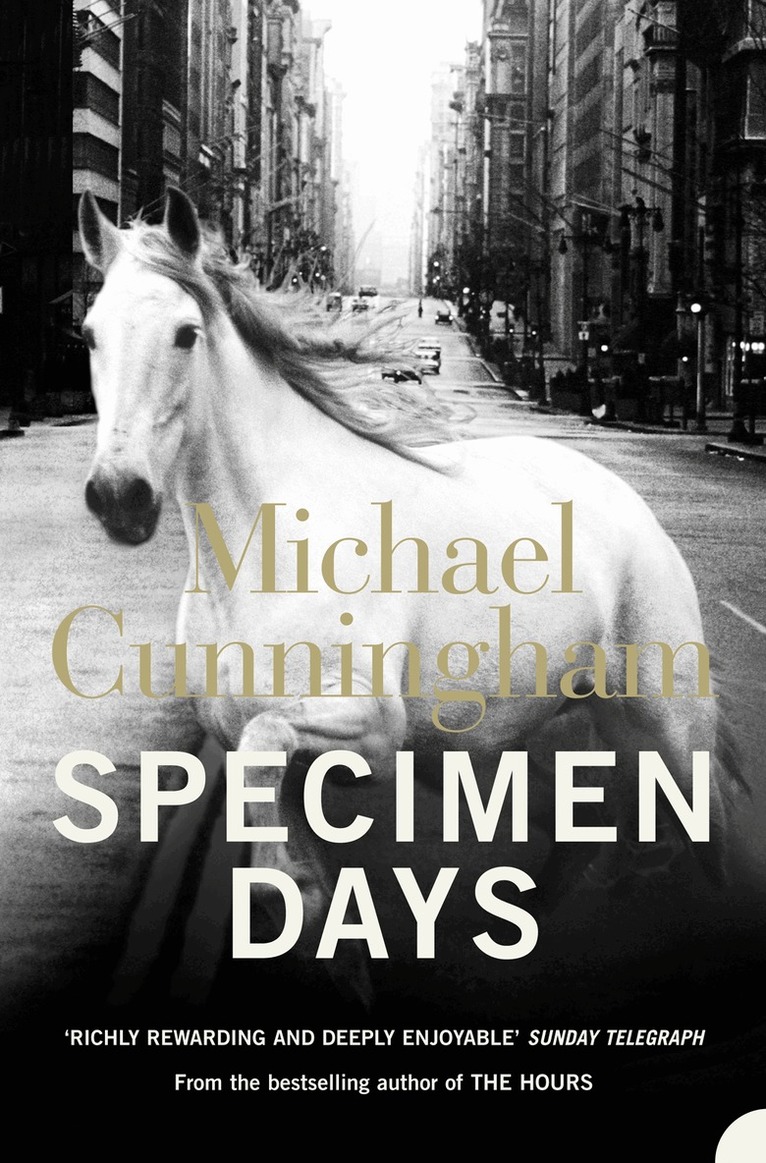 Michael Cunningham - Specimen Days, E-bok