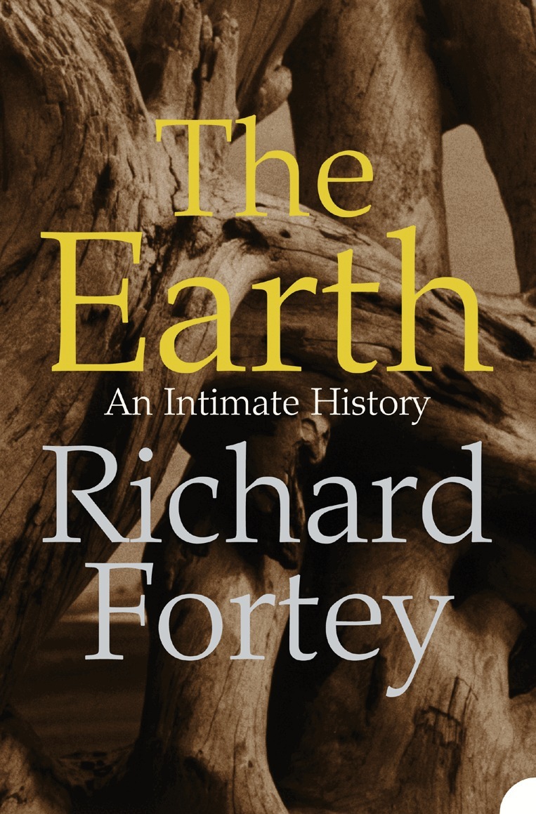 Richard Fortey - Earth, E-bok