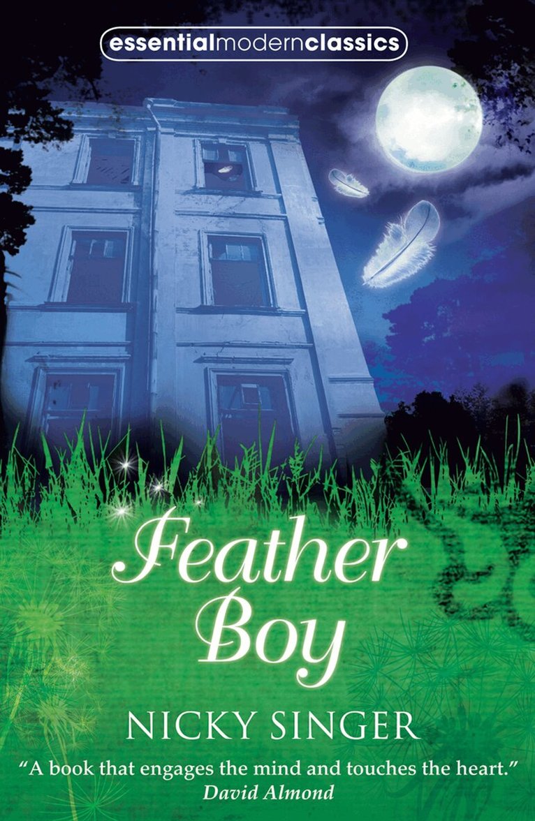 Nicky Singer - Feather Boy, E-bok