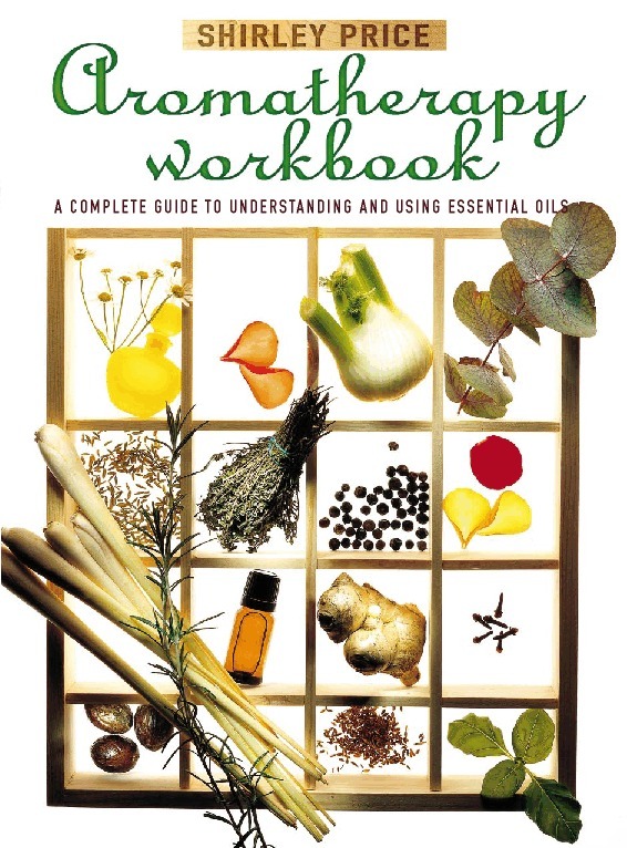 Shirley Price - Aromatherapy Workbook, E-bok