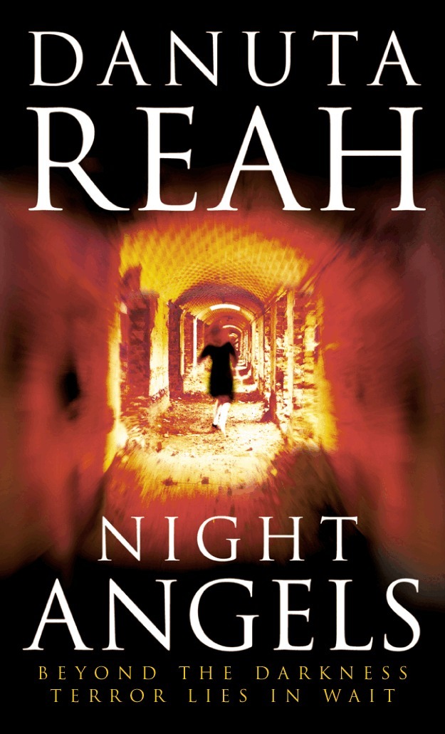 Danuta Reah - Night Angels, E-bok