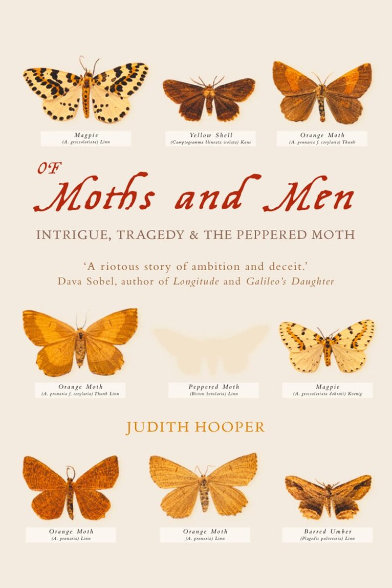 Judith Hooper - Of Moths and Men, E-bok