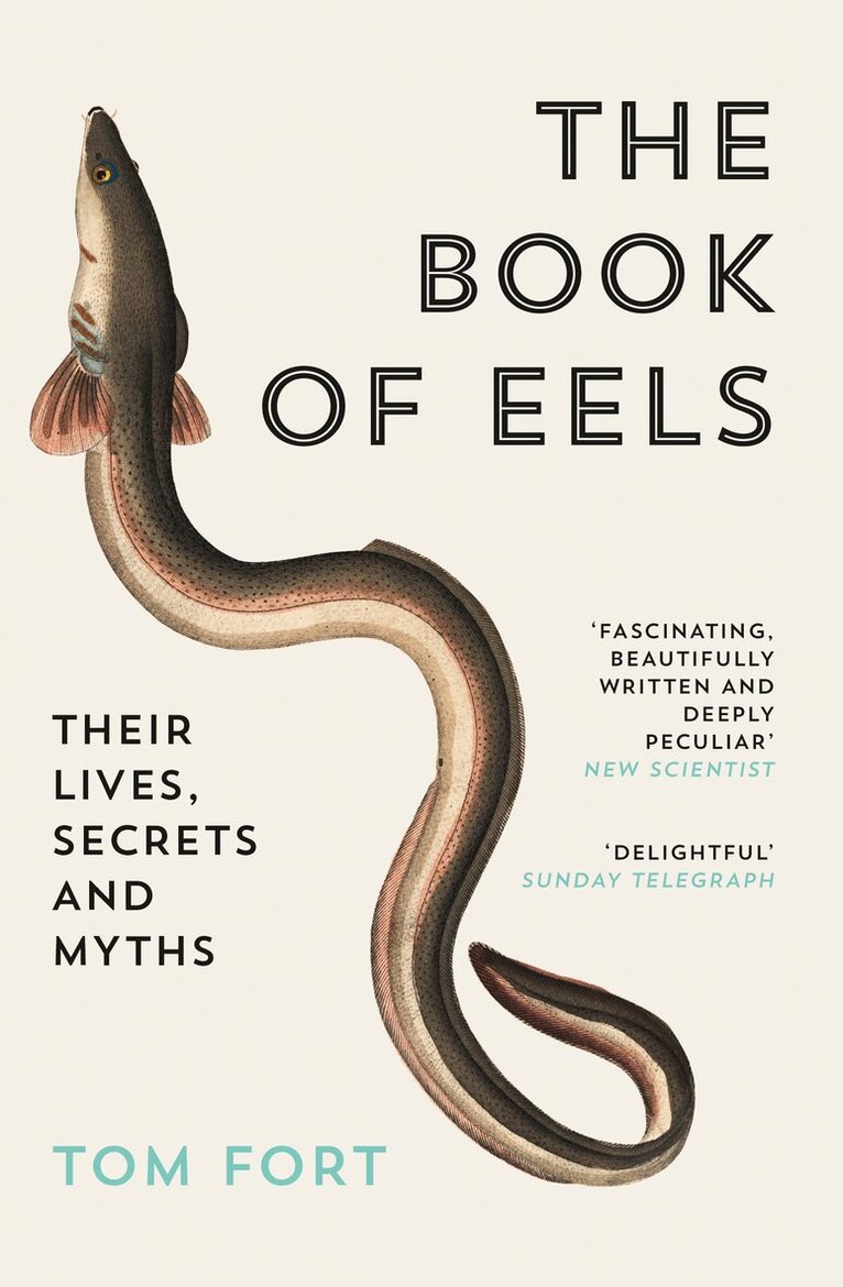 Tom Fort - Book of Eels, E-bok