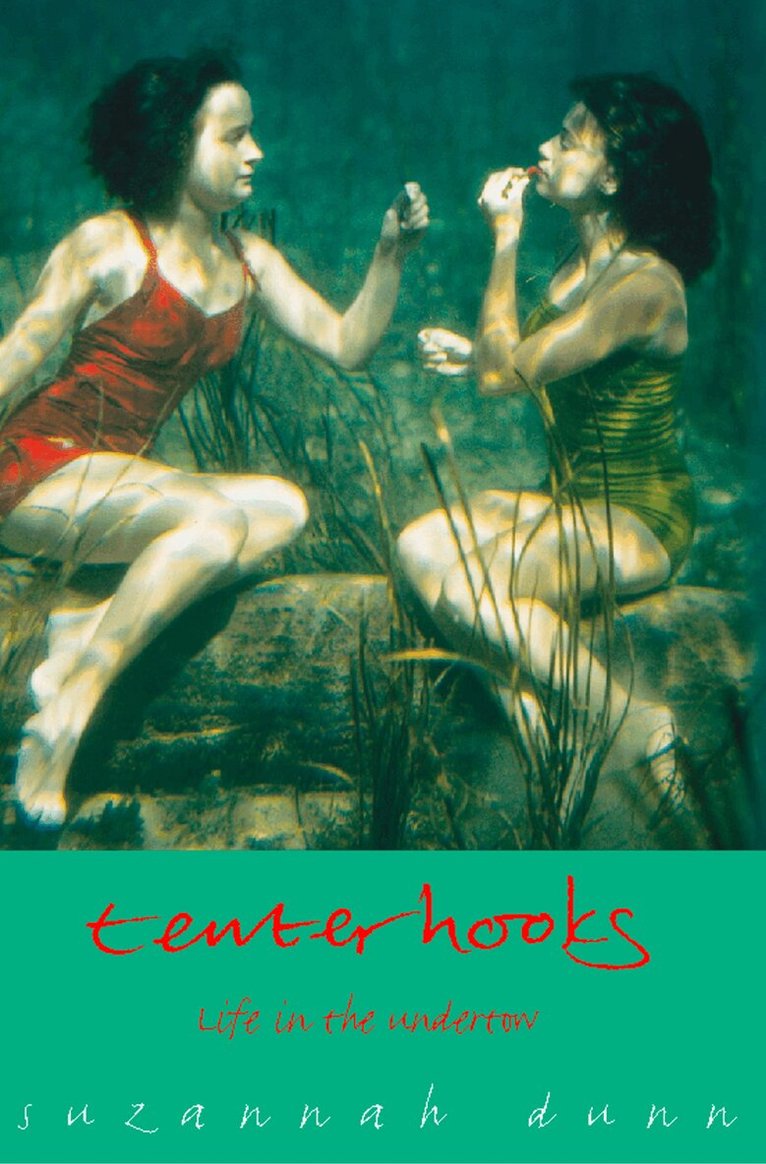 Suzannah Dunn - Tenterhooks, E-bok