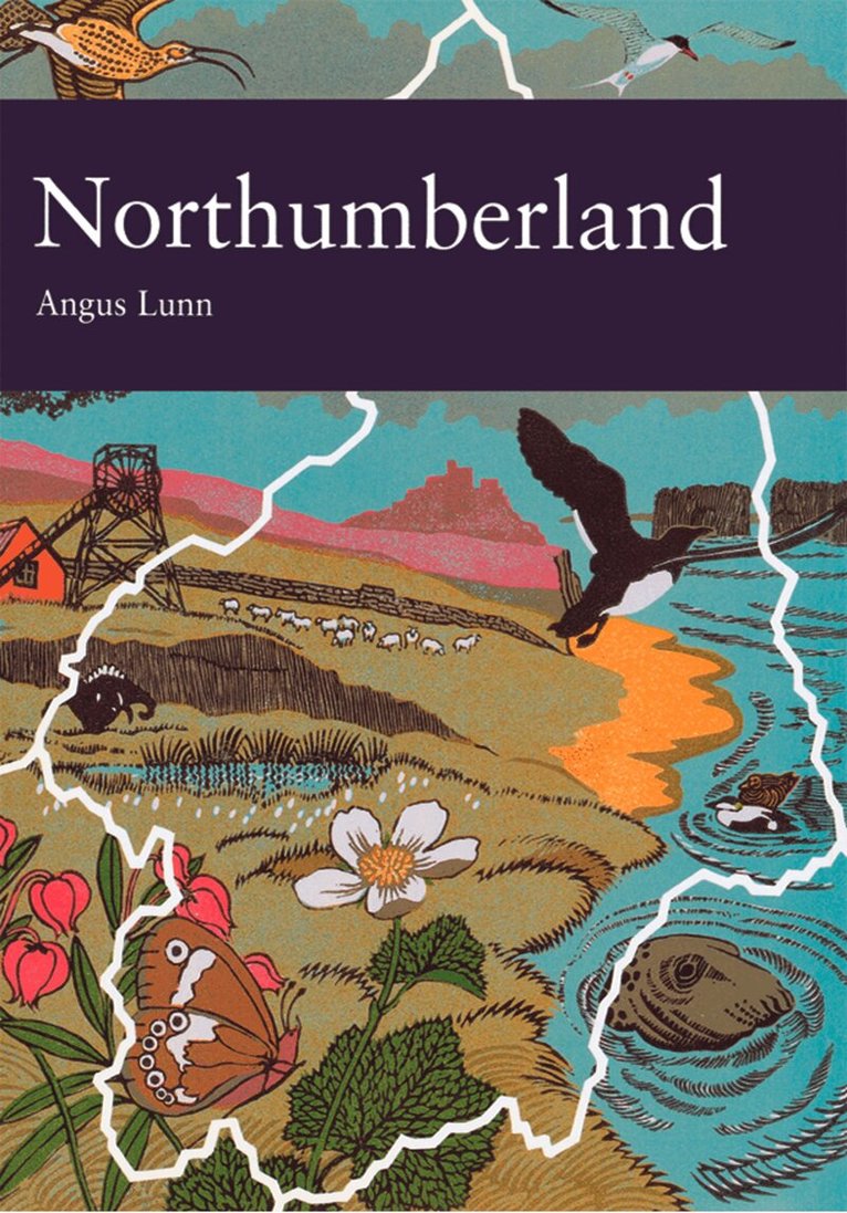 Angus Lunn - Northumberland, E-bok