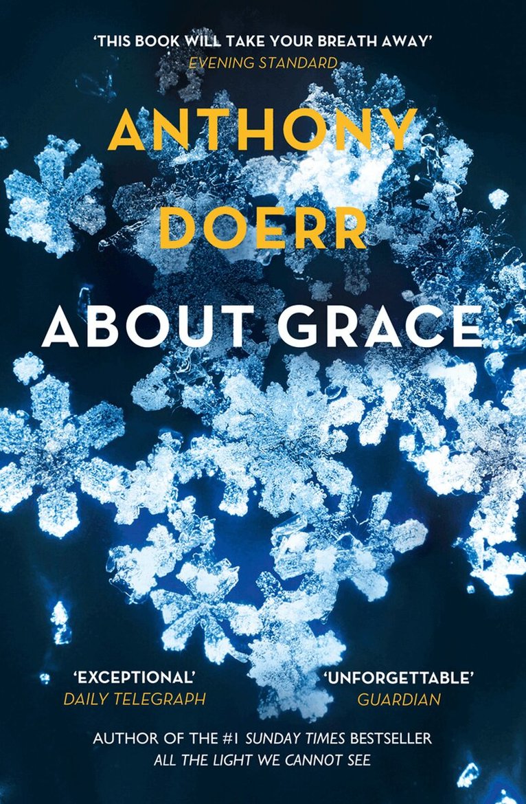 Anthony Doerr - About Grace, E-bok