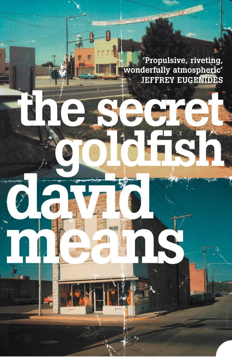 David Means - Secret Goldfish, E-bok
