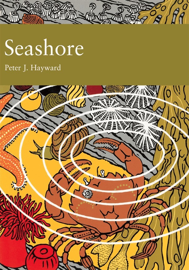 Peter J. Hayward - Seashore, E-bok