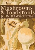 Mushrooms and Toadstools