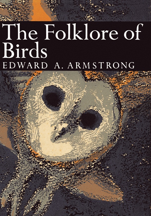 Edward A. Armstrong - Folklore of Birds, E-bok