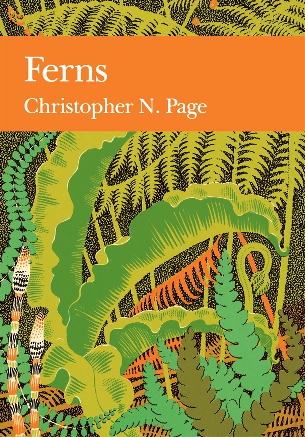 Christopher N. Page - Ferns, E-bok