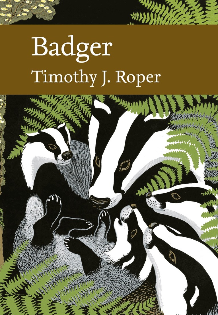 Timothy J. Roper - Badger, E-bok