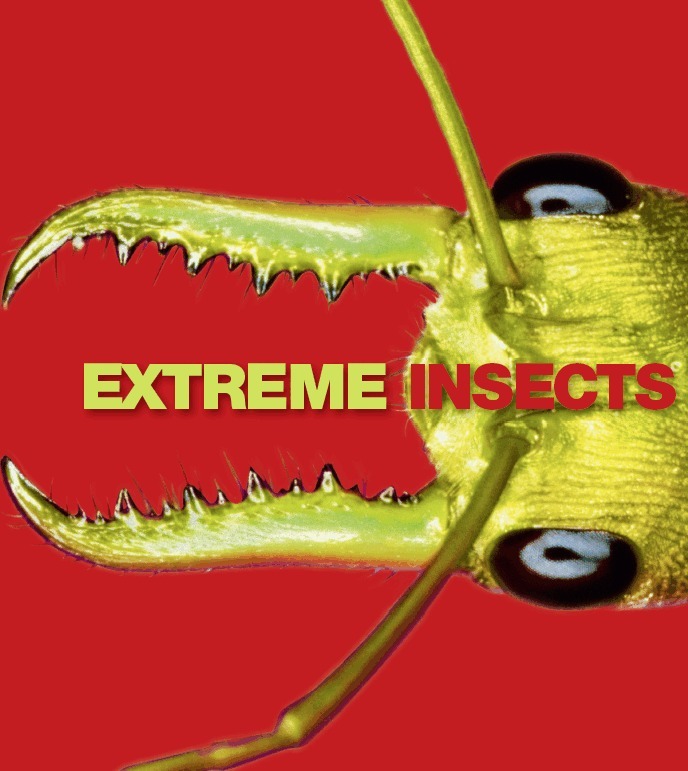 Richard Jones - Extreme Insects, E-bok