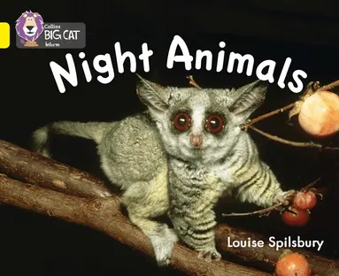 Louise Spilsbury - Night Animals, Häftad