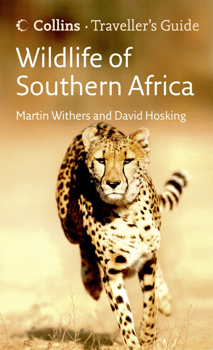 David Hosking, Martin Withers - Wildlife of Southern Africa, E-bok
