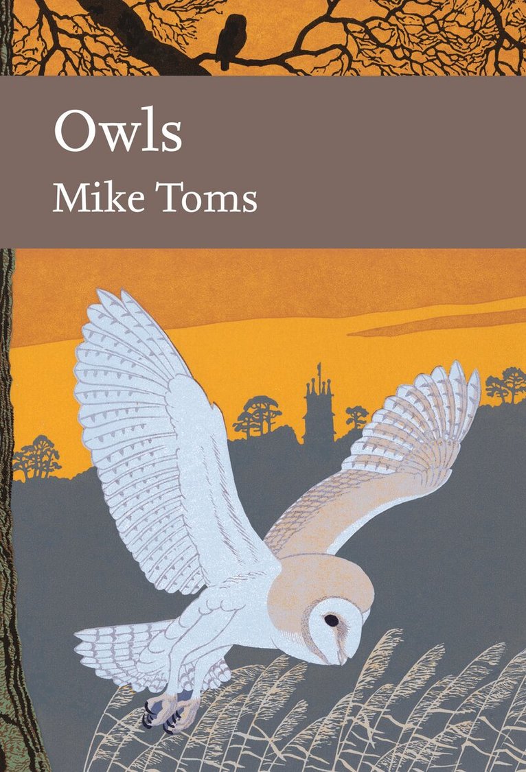 Mike Toms - Owls, E-bok
