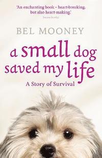 Small Dog Saved My Life