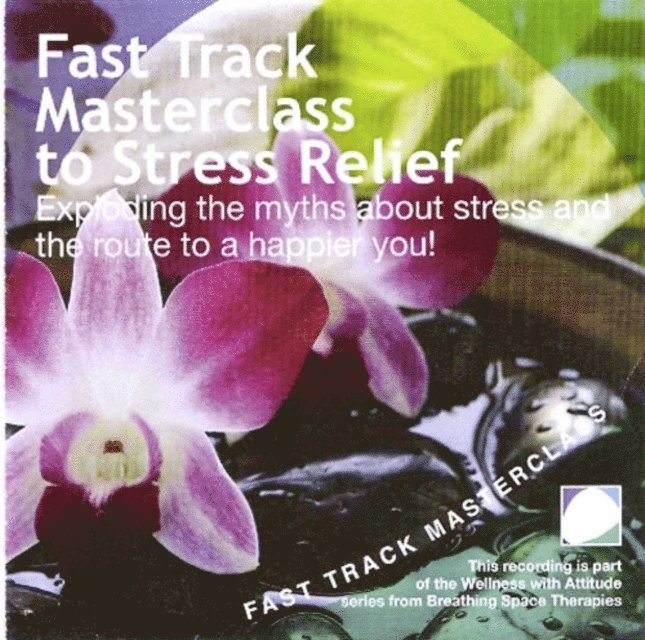 Annie Lawler - Fast track masterclass to stress relief, Ljudbok