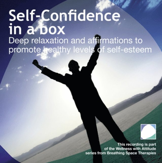Annie Lawler - Self Confidence in a box, Ljudbok